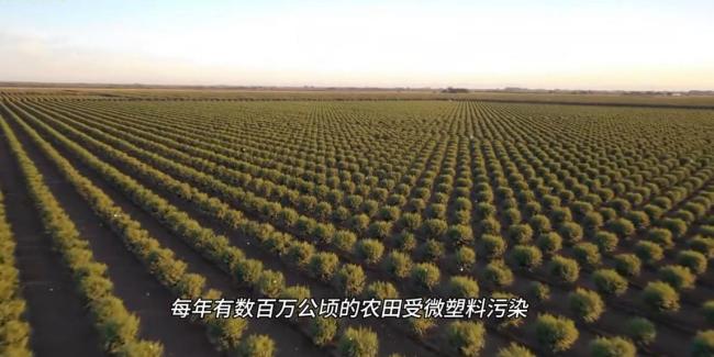 研究称烧秸秆能控制超级细菌传播 揭示黑炭双重作用